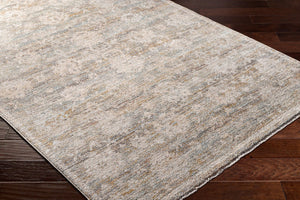 Livabliss Rojin Traditional Fringe Area Rug Polypropylene Woven for Large Living Spaces ROJ2304-9127