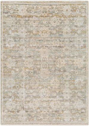 Rojin ROJ-2304 5'3" x 7'10" Machine Woven Rug ROJ2304-5377 Livabliss Surya