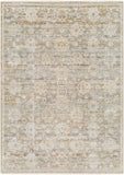 Rojin ROJ-2304 5'3" x 7'10" Machine Woven Rug ROJ2304-5377 Livabliss Surya