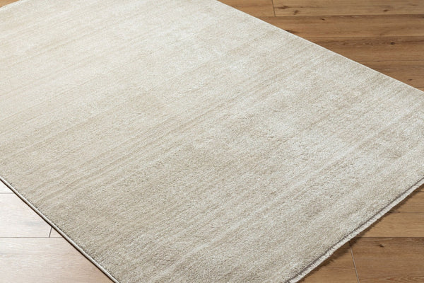 Livabliss Rojin Classic Fringe Area Rug Polypropylene Medium Pile for Living Room or Entryway ROJ2305-9127