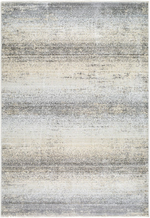 Rojin ROJ-2308 9' x 12'7" Machine Woven Rug ROJ2308-9127 Livabliss Surya