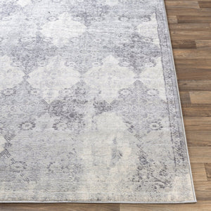 Livabliss Roma Machine Woven Polypropylene Area Rug Turkey Crafted for High Traffic Living Spaces ROM2316-9123