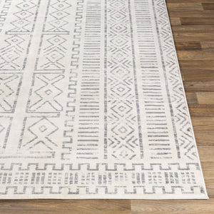 Livabliss Roma Global Inspired Polypropylene Area Rug for Large Living Room or Dining Space ROM2328-9123