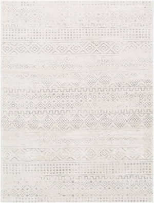 Livabliss Roma Global Bohemian Pattern Machine Woven Polypropylene Area Rug for Living Rooms Gray, Light Gra 9'10" x 14' ROM2341-91014