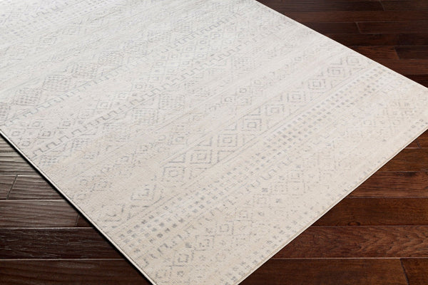 Livabliss Roma Global Bohemian Pattern Machine Woven Polypropylene Area Rug for Living Rooms Gray, Light Gra 9'10" x 14' ROM2341-91014
