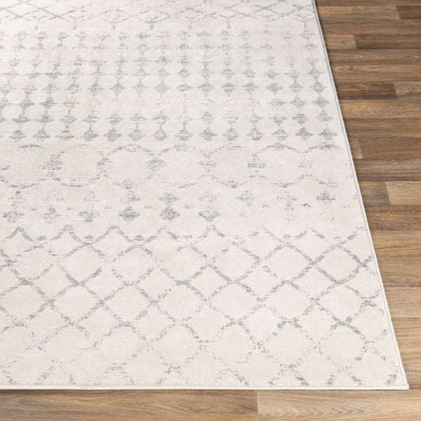 Livabliss Roma Global Pattern Large Area Rug Polypropylene Medium Pile for Living Rooms White, Light Gr 2'7" x 7'3" ROM2343-2773