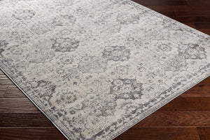 Livabliss Roma Traditional Medallion Polypropylene Area Rug Turkish Woven for Living Rooms ROM2366-9123