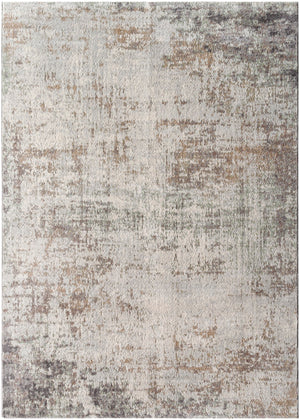 Roma ROM-2404 8'11" x 12'4" Machine Woven Rug ROM2404-811123 Livabliss Surya