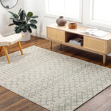 Roma ROM-2407 8'11" x 12'4" Machine Woven Rug ROM2407-811123 Livabliss Surya