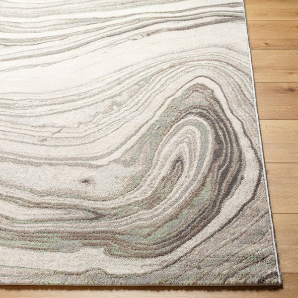 Livabliss Roma Traditional Polypropylene Area Rug Machine Woven in Turkey for Living Rooms ROM2409-811123