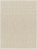 Rockport RPT-2302 7'10" x 10' Machine Woven Rug RPT2302-71010 Livabliss Surya