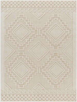 Rockport RPT-2306 7'10" x 10' Machine Woven Rug RPT2306-71010 Livabliss Surya