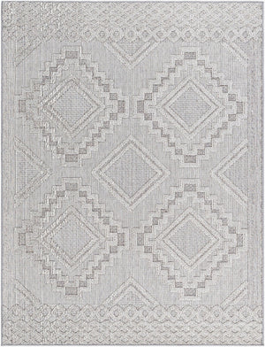 Livabliss Rockport Scandinavian Modern Polypropylene Area Rug Indoor Outdoor Medium Pile RPT2319-71010