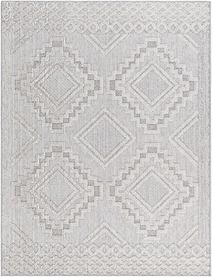 Rockport RPT-2319 7'10" x 10' Machine Woven Rug RPT2319-71010 Livabliss Surya