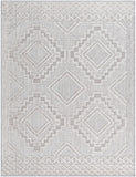 Rockport RPT-2319 7'10" x 10' Machine Woven Rug RPT2319-71010 Livabliss Surya