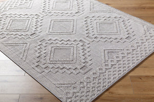 Livabliss Rockport Scandinavian Modern Polypropylene Area Rug Indoor Outdoor Medium Pile RPT2319-71010