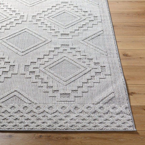 Livabliss Rockport Scandinavian Modern Polypropylene Area Rug Indoor Outdoor Medium Pile RPT2319-71010