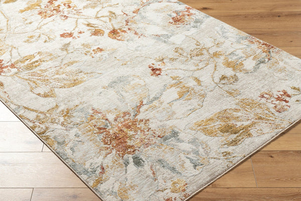 Livabliss Roseanne Polyester Area Rug with Fringe Border for Large Living and Dining Spaces Light Gray, Med 2'7" x 3'11" RSE2302-27311