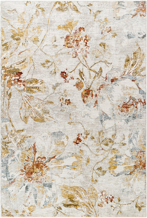 Livabliss Roseanne Polyester Area Rug with Fringe Border for Large Living and Dining Spaces Light Gray, Med 2'7" x 3'11" RSE2302-27311