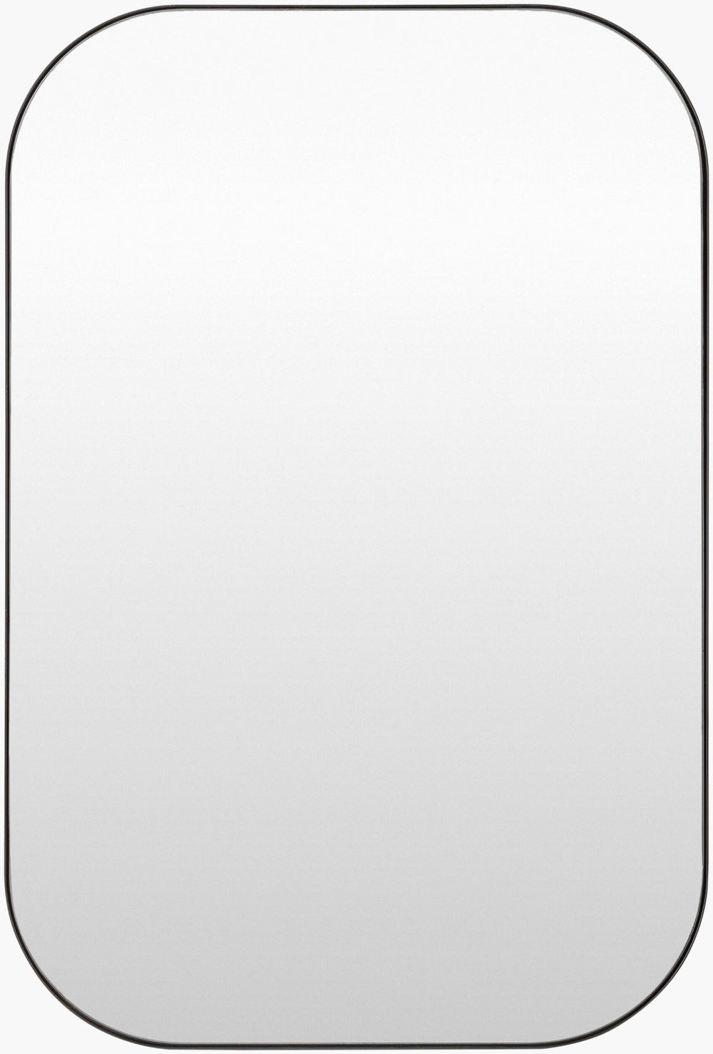 Livabliss Auburn Slim Profile Rectangular Wall Mirror for Entryways Hallways and Modern Interiors RUB004-3524