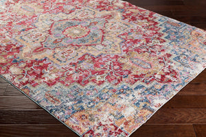 Livabliss Rumi Traditional Polyester Machine Woven Rug for Entryway Bedroom or Bath RUM2307-23