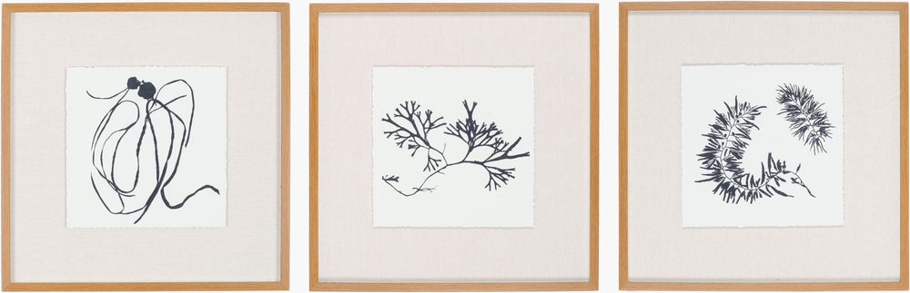 Surya Sumerian Framed Art Wall Decor - Minimalist Modern Design, 25"H X 25"W, Easy Maintenance Home Accent Main, Beige,Frame, ,Matting, Beige Paper,Polystyrene Rus001-set