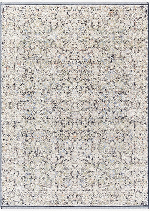 Livabliss Rivaldo Traditional Fringe Accent Rug Polyester Medium Pile for Entryway or Bedside Light Brown, Cr 2' x 2'11" RVD2300-23