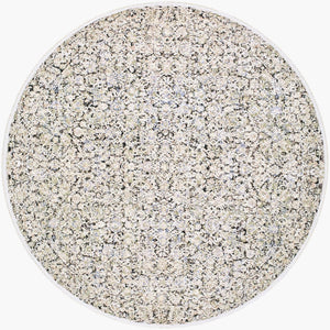 Livabliss Rivaldo Traditional Fringe Accent Rug Polyester Medium Pile for Entryway or Bedside Light Brown, Cr 7' x 7' RVD2300-7RD