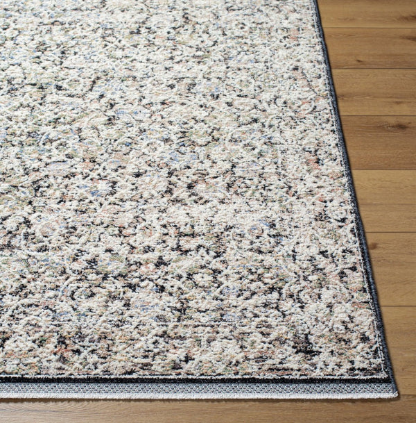 Livabliss Rivaldo Traditional Fringe Accent Rug Polyester Medium Pile for Entryway or Bedside Light Brown, Cr 2' x 2'11" RVD2300-23