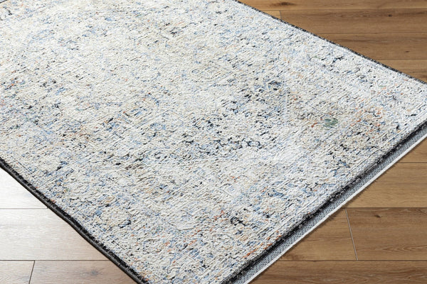 Livabliss Rivaldo Machine Woven Polyester Rug with Fringe Traditional Pattern for Entryways Cream, Light Sl 5' x 7' RVD2304-57