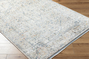Livabliss Rivaldo Traditional Fringe Accent Rug Machine Woven Polyester for Entryways and Hallways Cream, Light Br 6'7" x 9'6" RVD2307-6796