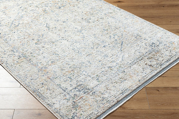 Livabliss Rivaldo Traditional Fringe Accent Rug Machine Woven Polyester for Entryways and Hallways Cream, Light Br 6'7" x 9'6" RVD2307-6796