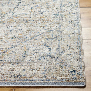Livabliss Rivaldo Traditional Fringe Accent Rug Machine Woven Polyester for Entryways and Hallways Cream, Light Br 6'7" x 9'6" RVD2307-6796
