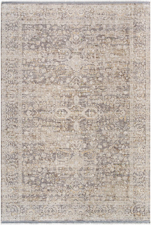 Livabliss Rivaldo Bohemian Fringe Polyester Area Rug Machine Woven in Turkey for Entryways Cream, Light Br 2'4" x 3'9" RVD2312-2439