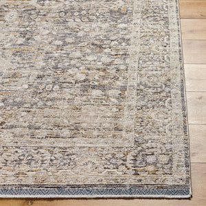 Livabliss Rivaldo Bohemian Fringe Polyester Area Rug Machine Woven in Turkey for Entryways Cream, Light Br 2'4" x 3'9" RVD2312-2439