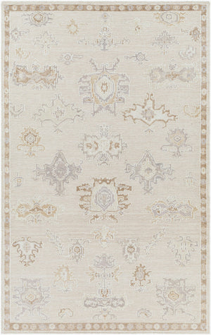 Surya Revere 10' X 14' Handmade Rug - Timeless Elegance, Durable No-pile Design, Eco-friendly Comfort Brown Recycled Pet Yarn Rve2303-46