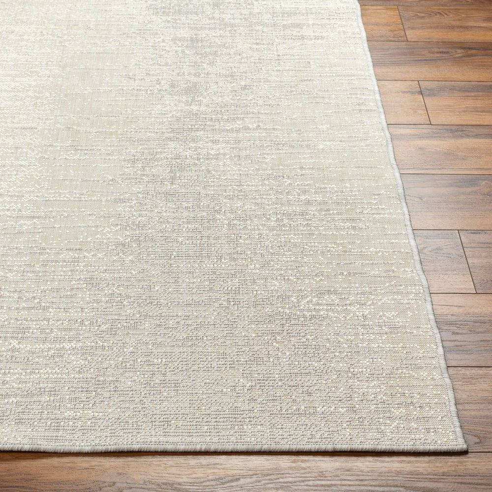 Livabliss Ravello Flatweave Polypropylene Area Rug for Indoor Outdoor Living and High Traffic Spaces RVL2301-537