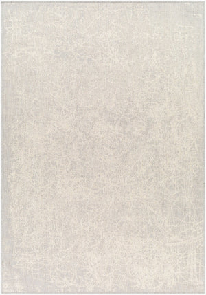 Livabliss Ravello Flatweave Polypropylene Area Rug for Indoor Outdoor Living Spaces RVL2307-537