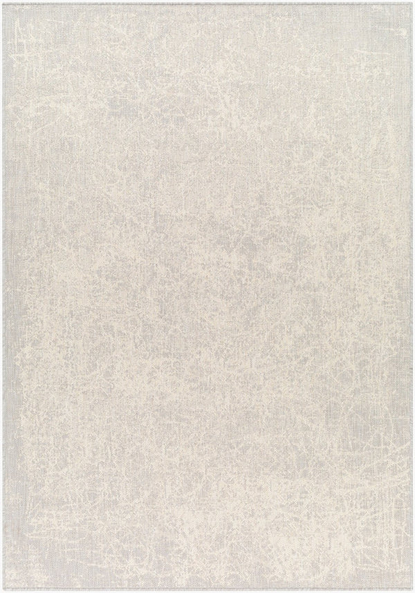 Livabliss Ravello Flatweave Polypropylene Area Rug for Indoor Outdoor Living Spaces RVL2307-537