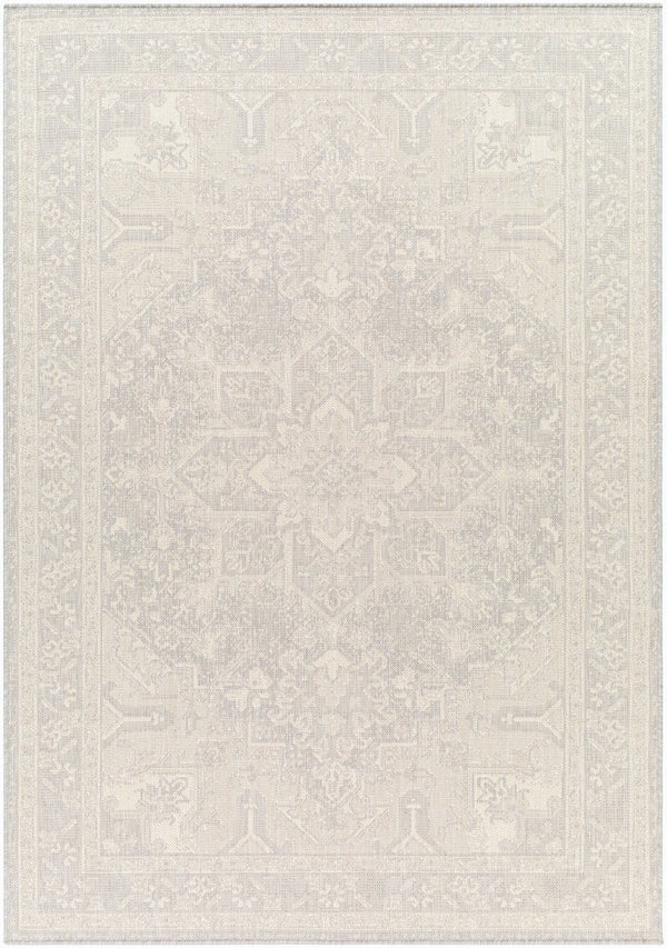 Livabliss Ravello Flatweave Polypropylene Area Rug Traditional Pattern for Living Room or Patio RVL2310-537