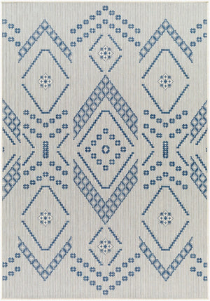 Livabliss Ravello Bohemian Flatweave Polypropylene Area Rug Global Pattern Eclectic Living Room RVL2324-537