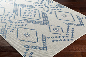 Livabliss Ravello Bohemian Flatweave Polypropylene Area Rug Global Pattern Eclectic Living Room RVL2324-537
