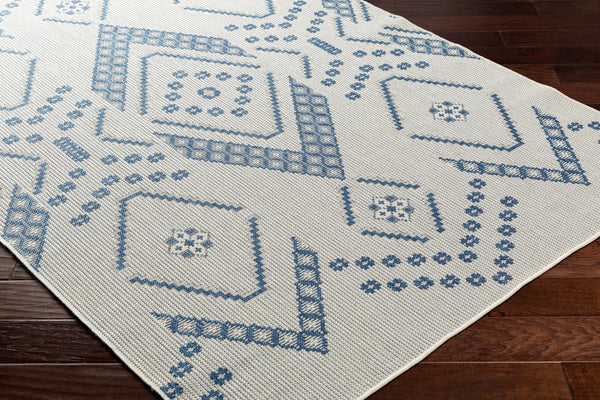 Livabliss Ravello Bohemian Flatweave Polypropylene Area Rug Global Pattern Eclectic Living Room RVL2324-537