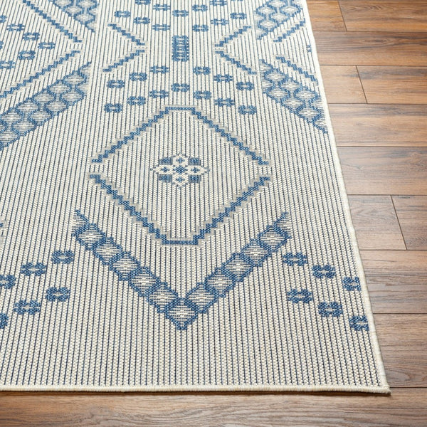 Livabliss Ravello Bohemian Flatweave Polypropylene Area Rug Global Pattern Eclectic Living Room RVL2324-537