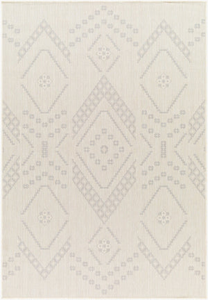 Livabliss Ravello Flat Weave Polypropylene Area Rug Turkish Woven Global Pattern Indoor Outdoor RVL2325-537