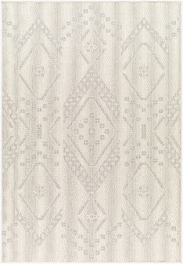 Livabliss Ravello Flat Weave Polypropylene Area Rug Turkish Woven Global Pattern Indoor Outdoor RVL2325-537