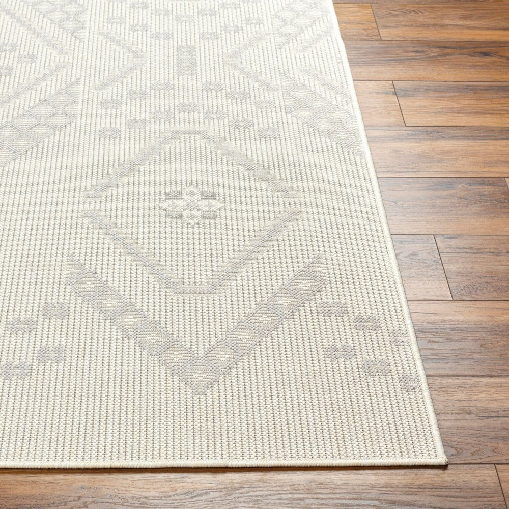 Livabliss Ravello Flat Weave Polypropylene Area Rug Turkish Woven Global Pattern Indoor Outdoor RVL2325-537