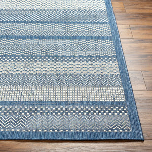 Livabliss Ravello Flatweave Polypropylene Indoor Outdoor Rug for Patio Entryway High Traffic Areas Denim, Dark Blu 2' x 2'11" RVL2336-23