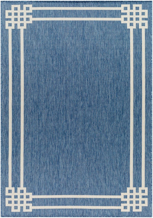 Livabliss Ravello Flatweave Polypropylene Area Rug Turkish Woven for Indoor Outdoor Living RVL2339-537