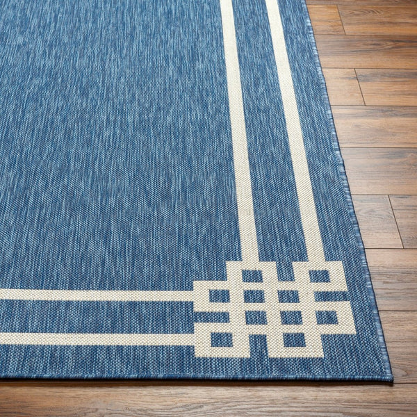 Livabliss Ravello Flatweave Polypropylene Area Rug Turkish Woven for Indoor Outdoor Living RVL2339-537